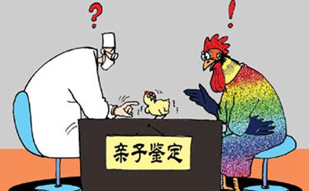 個人親子鑒定網(wǎng)上可以查詢嗎？